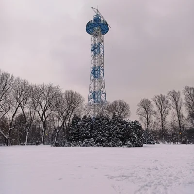 szynszyla2018 - Katowice w śniegu ʕ•ᴥ•ʔ #katowice ##!$%@? #snieg