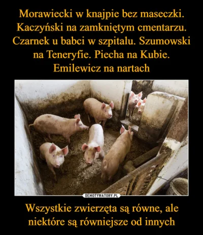 januszzczarnolasu - Przykład idzie z góry