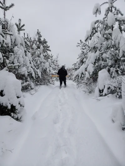 WhiteMagpie - @cieplychlodniarz: my zjeżdżaliśmy na starej desce snowboardowej (✌ ﾟ ∀...