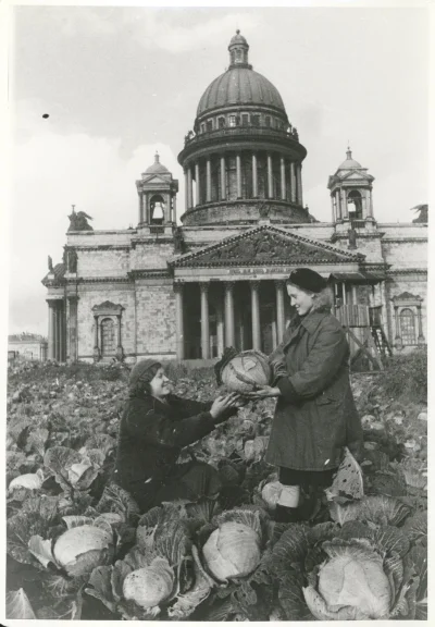 myrmekochoria - Kapusta posadzona zamiast róż przed Soborem świętego Izaaka, 1942. 
...