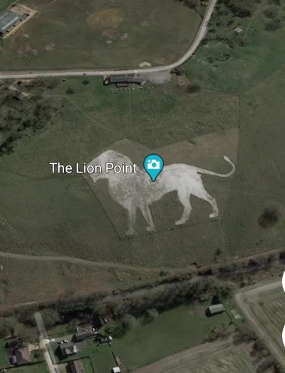 h.....7 - @Kodak: lądując samolotem w #uk na Luton można dostrzec takiego lwa ( ͡° ͜ʖ...
