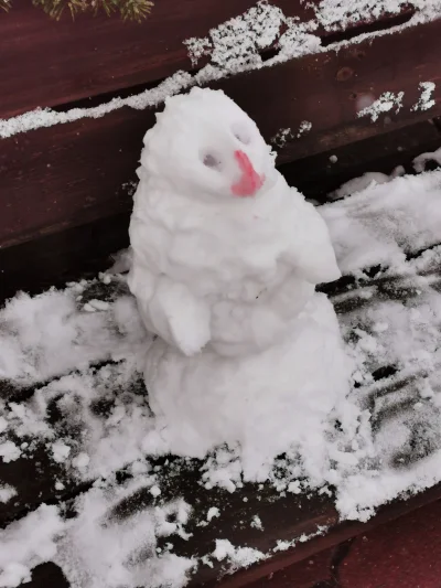 Borealny - Jakiś czas temu ulepiłem takiego bałwanka na ławce przed biurowcem orlenu....