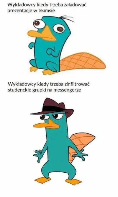 Adriarro - #heheszki #humorobrazkowy #takaprawda #studia #studbaza #edukacja