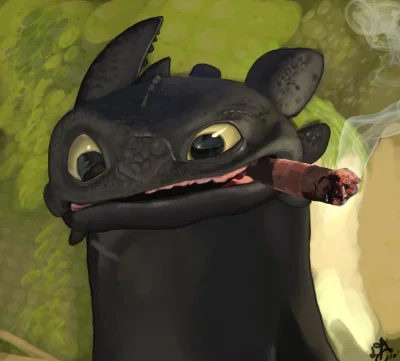 Timer_555 - #toothless #howtotrainyourdragon #szczerbatek #szczerbaty #httyd