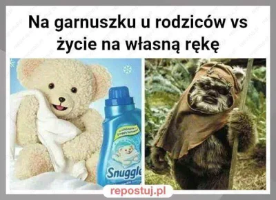 meh0wski - #heheszki #humorobrazkowy