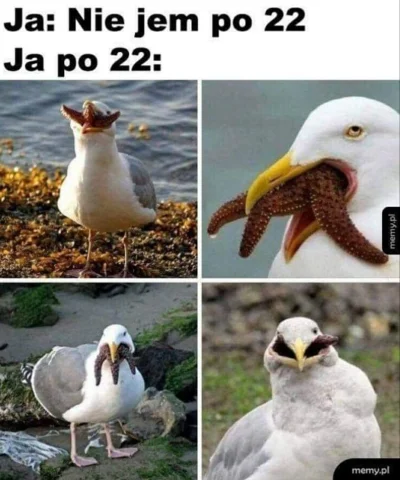 Zabojcza_Rozowa - #heheszki #memy #humorobrazkowy