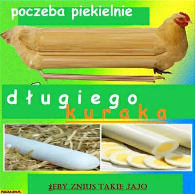 TomcioPalushek - #kurak #gownowpis Ja tylko przypominam, że: