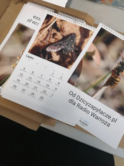 R.....a - Kalendarz #pszczeleparazyty ❤️ z fotografiami Dzicy zapylacze na wsparcie #...