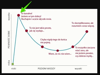 pokpok - OK... powiedzmy sobie szczerze... koleś, który się tego podjął, ma nikłe poj...