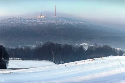 Kodak - Okolice Kielc. Góry Świętokrzyskie. Święty Krzyż - Łysa Góra
#zdjecie #fotog...