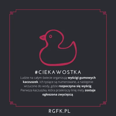 RGFK_PL - #ciekawostka
Co powiesz, żeby spróbować swojego szczęścia w takim wyścigu?...