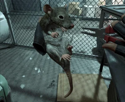 KolekcjaKlasyki - @Kanbodja: polecam szczury z half life alyx