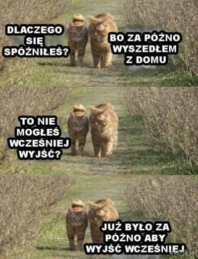 StaryWedrowiec - #heheszki #humorobrazkowy #humor #memy