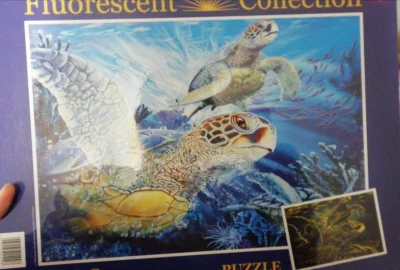 MallaCzarna - @Tapirekirek: Fluorescencyjne żółwie już zajęty honorowe miejsce na ści...