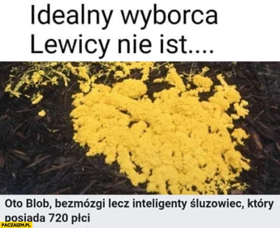 Volki - @RobertKowalski
gdzie mogę poszerzyć swoją wiedzę aby być na bieżąco
Na Natio...