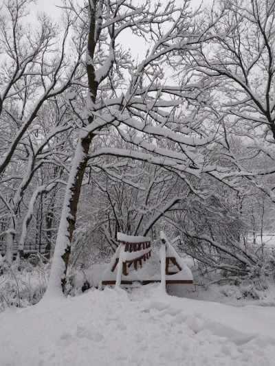 hikarukimura - #magurskiparknarodowy #zima #snieg