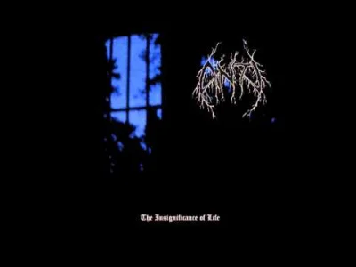 PatrickBateman - Ale mnie feelsy i melancholia dopadły..

#dsbm #blackmetal #depres...