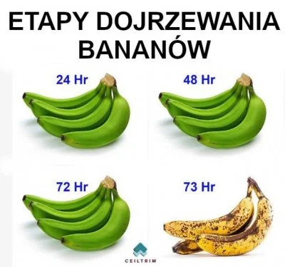 D.....u - #humorobrazkowy #banany