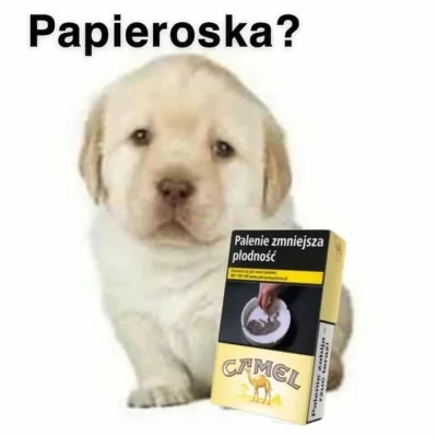 Gruziaja - Witaj samotny towarzyszu, trapi cię coś? Bo mnie tak. Papieroska?