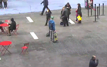 translokator - W Kanadzie też są niezłe ziółka