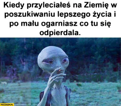 Kutonapletess - już polecieli