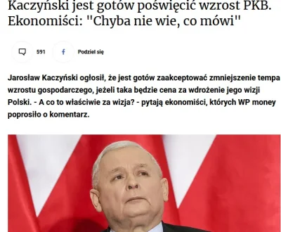 petarda - wizja w praktyce już jest