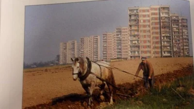 i4004 - @Pesa_elf: no i oczywiście jedyne co sie zmienilo to brak rolnika i alejka z ...