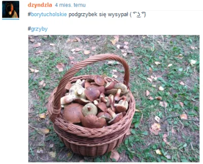 metaxy - @dzyndzla: zbierasz grzyby dla siebie czy dla Wykopków? Tak jest świat skons...