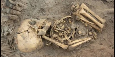 sropo - W Gaci koło Przeworska na Podkarpaciu odnaleziono szkielet dziecka datowany n...
