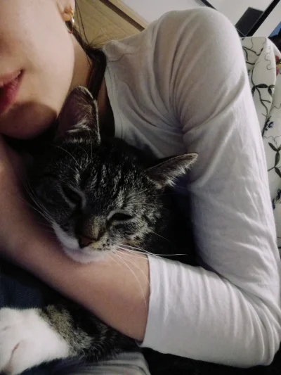 agatka666 - Feluś przyszedł do mamusi się przytulić i pocieszyć (｡◕‿‿◕｡)
#koty #kitku...