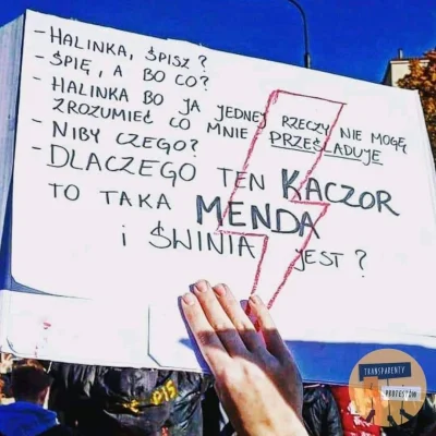 T.....i - ! #bekazpisu #protest #kiepscy