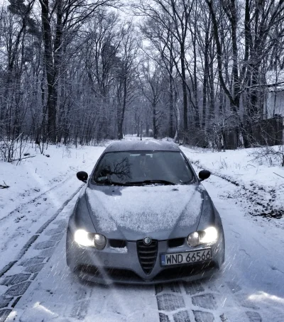 AlexR - Wyprowadzilem alfonsa na lesny, sniezny patrol ( ͡° ͜ʖ ͡°) #zima #alfaromeo #...