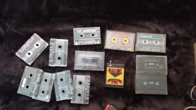 panborsuk - Mean Machine, Terminator 2 i kilka kaset LK Avalon, poza tym jakieś skład...