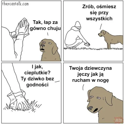 efceka - > Fajne takie zycie poszukiwacza gowna, co nie? Nigdy nie zrozumiem kociarzy...