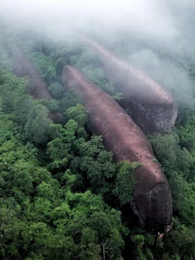 Kodak - Formacje skalne przypominające trzy wieloryby znajdują się w lesie Phu Sing w...