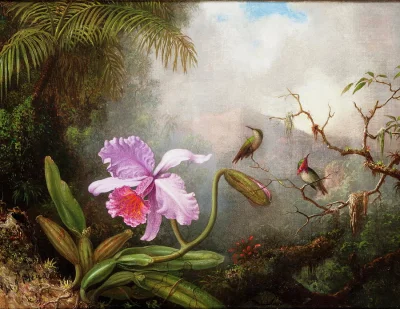 Lifelike - "Cattleya Orchid With Two Hummingbirds", Martin Johnson Heade (1819–1904)
...