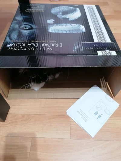 balatka - Kupiłam Zofii drapak...
#koty #zofia #kitku #kotnadzis #pokazkota