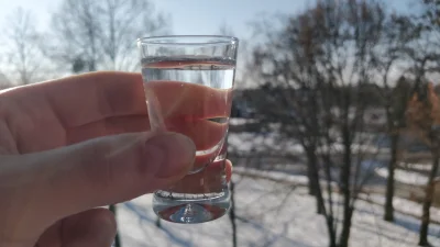 Trollunio - 31 stycznia - Dzień Narodzin Rosyjskiej Wódki!

No ten wpis musiał się po...