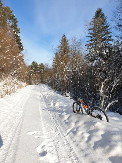 kinollos - Ale dziś była świetna pogoda na jazdę po śniegu.

#rower #mtb ##!$%@?