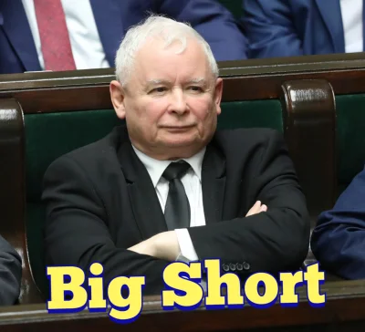 SynOjcai_Matki - Wszyscy dobrze wiemy czym tak naprawdę jest big short ( ͡° ͜ʖ ͡°)