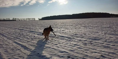 Titufe - Jeny ale tęsknię za moją kochaną na szczęście został tylko tydzień rozłąki #...