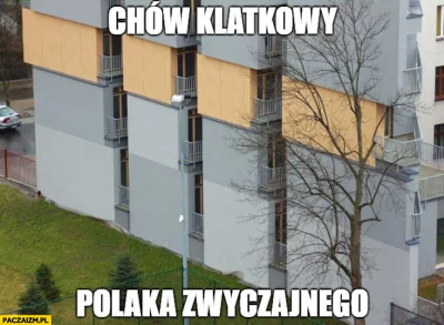 baronio - > kurczaków klatkowych

@ElCondore: kurczakow klatkowych powiadasz...( ͡º...