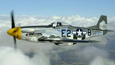 Sztuka_Wojenna - Amerykański P-51 Mustang, według mnie najładniejszy myśliwiec drugie...