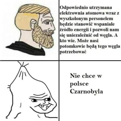 waffe1 - Obawiam się, że Polska w najbliższym czasie nie zainwestuje w energię atomow...