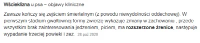 BotRekrutacyjny - To wścieklizna, jestem ekspertem.