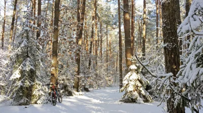 the_red - 17 732 + 29 = 17 761

Na termometrze -1°C, za oknem piękne słońce. Obowią...