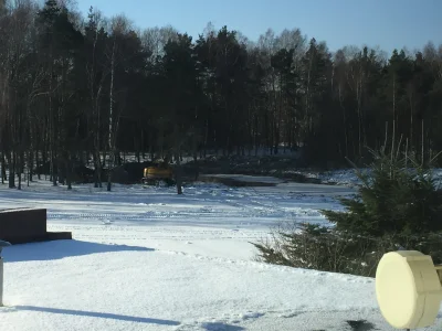 Tymalikk - Mirki patrzcie co robią somsiad robi obok mnie , rewitalizuje stare zarośn...