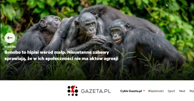 hawat - Gazeta.pl w formie...
Bonobo... Polujące na inne małpy, samce które prześlad...