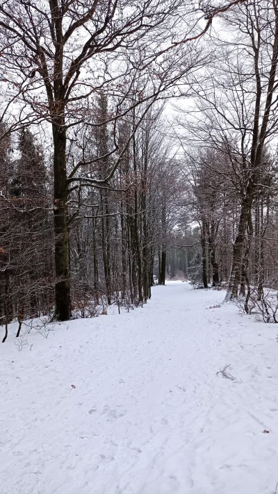 antkowa - Ahoj, już na górze, zahaczamy tylko o Chate Czantoryie i wracamy na czerwon...