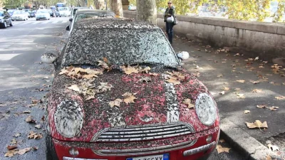 barney - Nieprawdopodobne to są zdjęcia samochodów jak takie stado zawita nad miasto ...